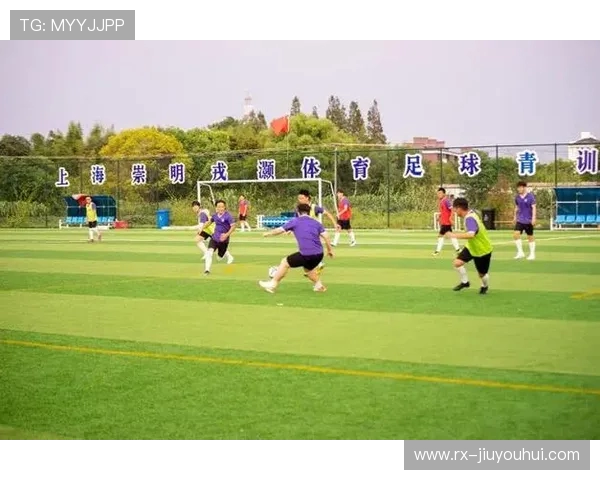 围绕杨家湾村足球振兴打造魅力乡村全民体育文化发展新高地示范区